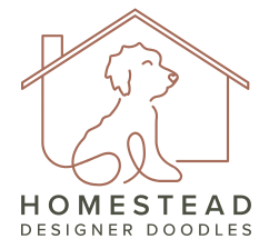 Homestead Desinger Doodles Logo
