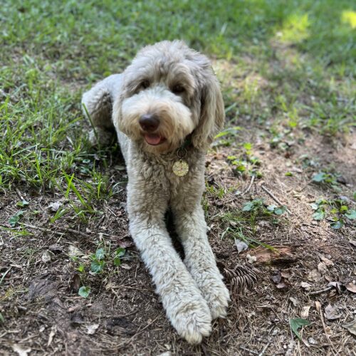 Oona