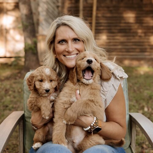 Puppies Coming Soon! 